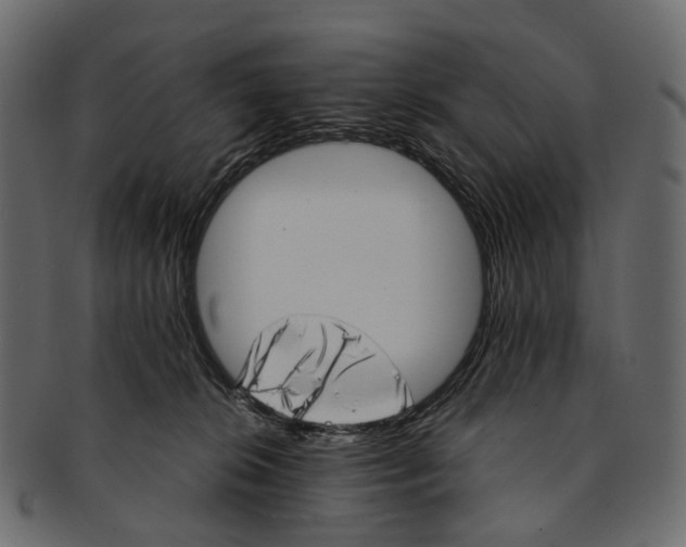 X0000091560276200709071134