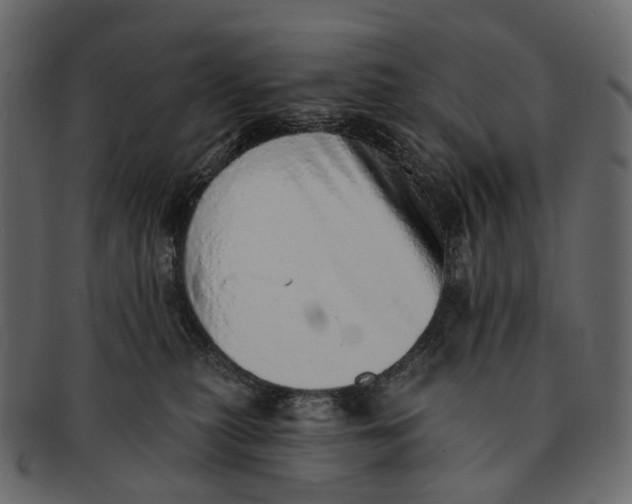 X0000091560279200709071134