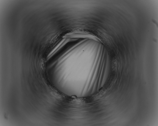 X0000091560280200709071134