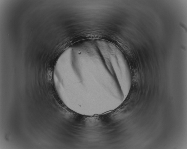 X0000091560281200709071134