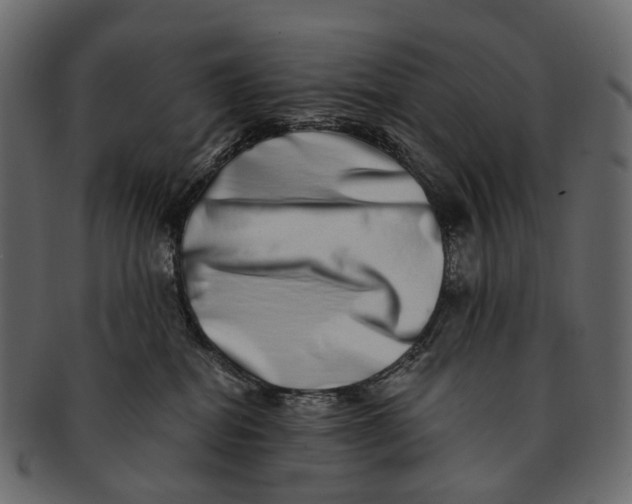 X0000091560282200709071134