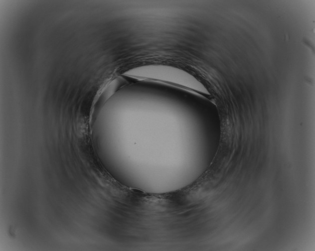 X0000091560284200709071134