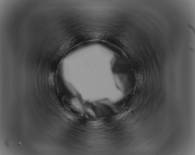 X0000091560286200709071134