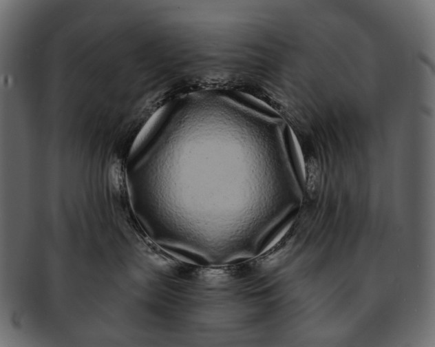 X0000091560287200709071134