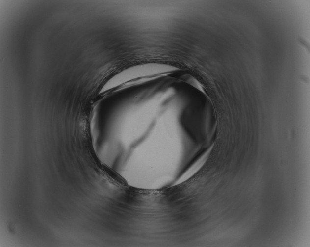 X0000091560288200709071134