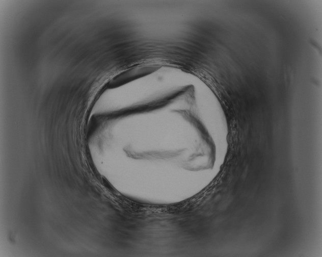 X0000091560289200709071133