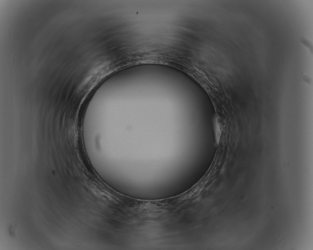 X0000091560290200709071133