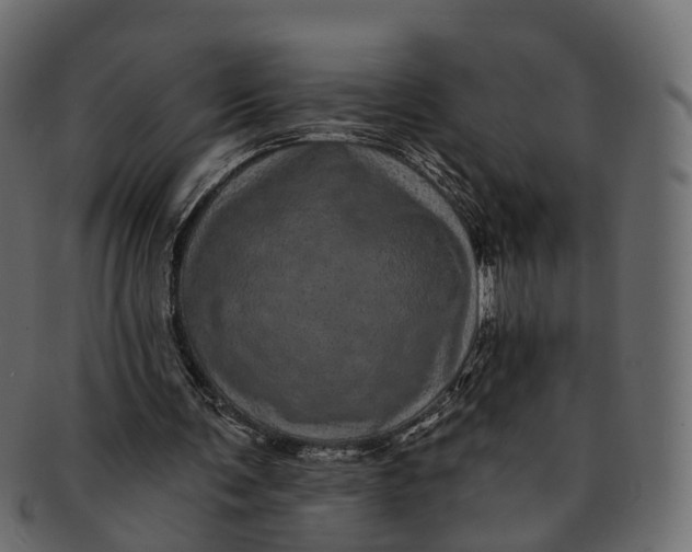 X0000091560291200709071133