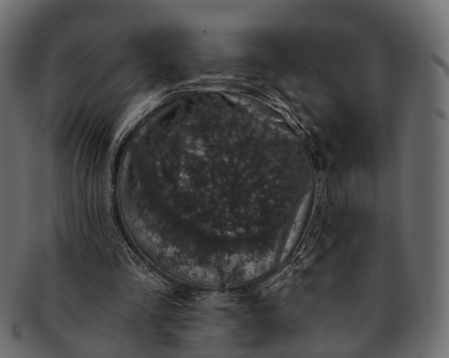 X0000091560293200709071133