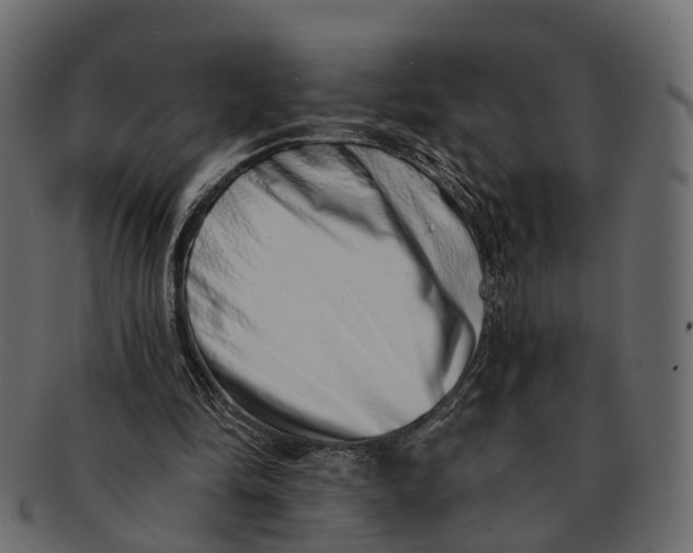 X0000091560294200709071133