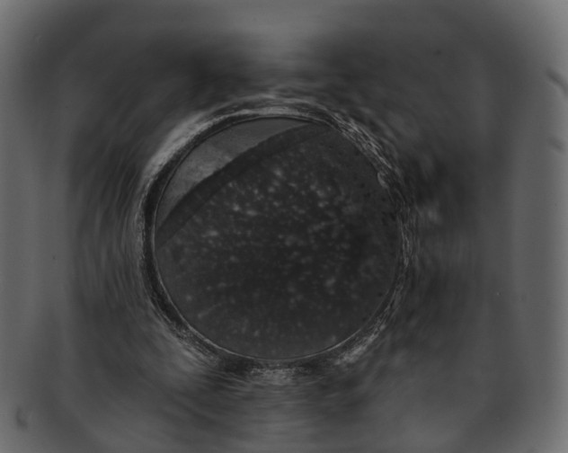 X0000091560295200709071133