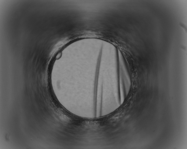 X0000091560296200709071133