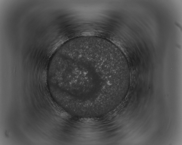 X0000091560297200709071133