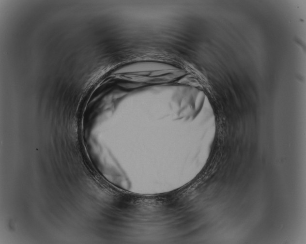 X0000091560298200709071133