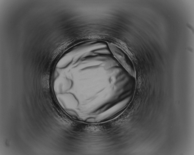 X0000091560299200709071133