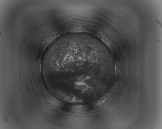 X0000091560301200709071133