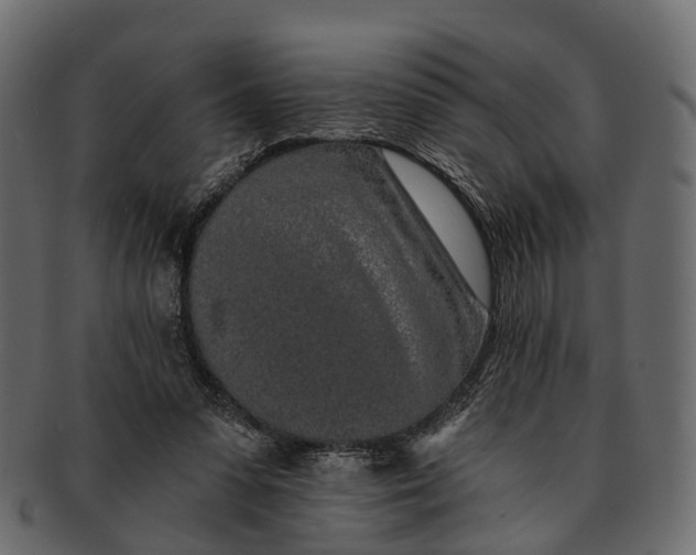 X0000091560303200709071133