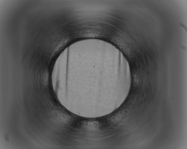 X0000091560304200709071133