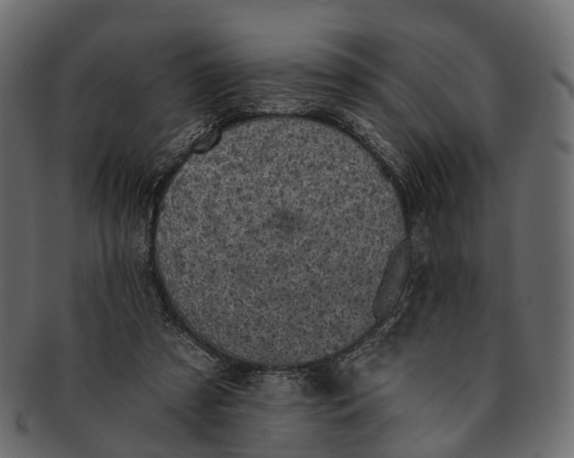 X0000091560305200709071133