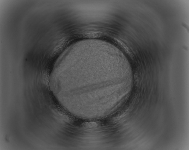 X0000091560307200709071133