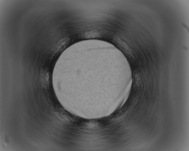 X0000091560308200709071133