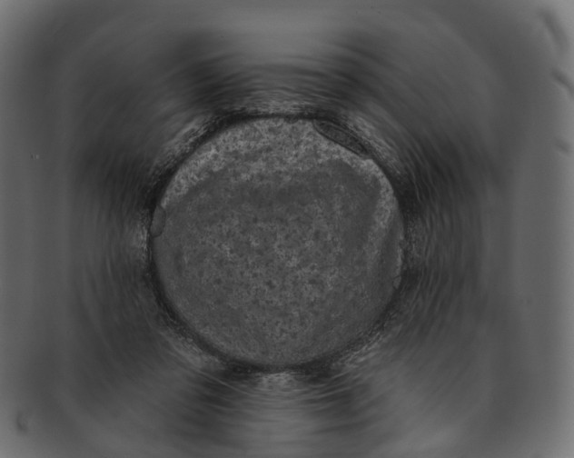 X0000091560309200709071133