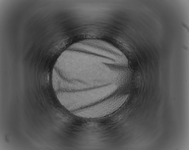 X0000091560310200709071133