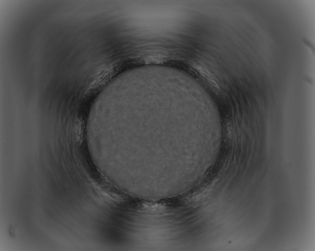 X0000091560311200709071133