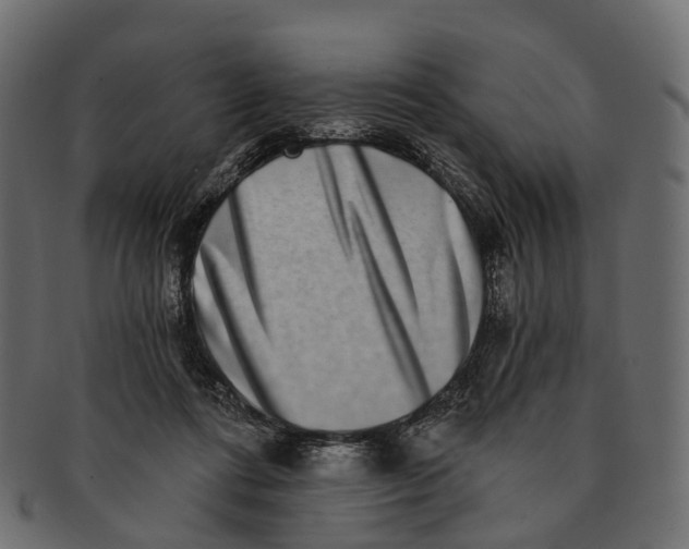 X0000091560312200709071133