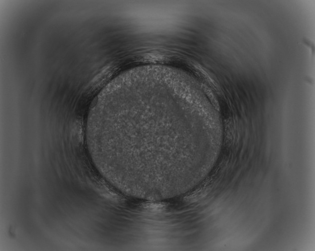 X0000091560313200709071133