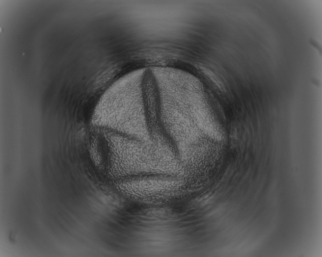 X0000091560314200709071133