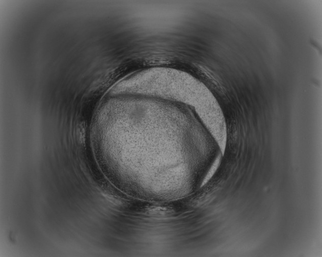 X0000091560315200709071133