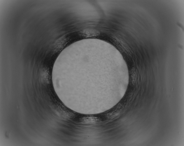 X0000091560316200709071133