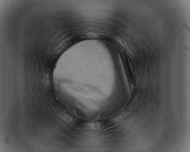 X0000091560317200709071133