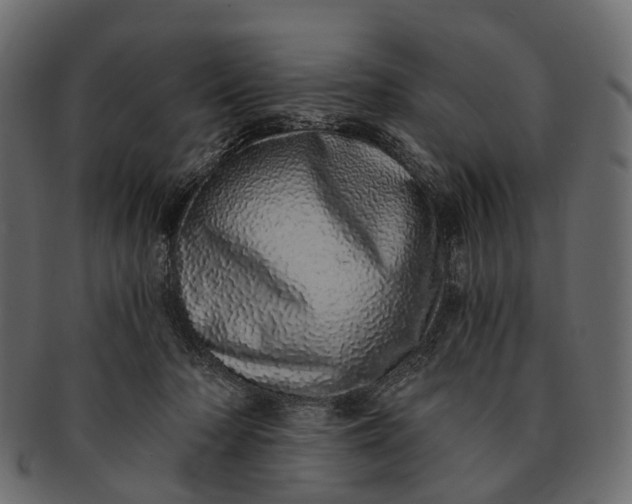 X0000091560318200709071133