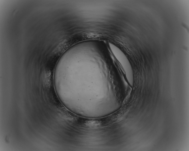 X0000091560319200709071133