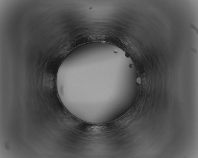 X0000091560323200709071133