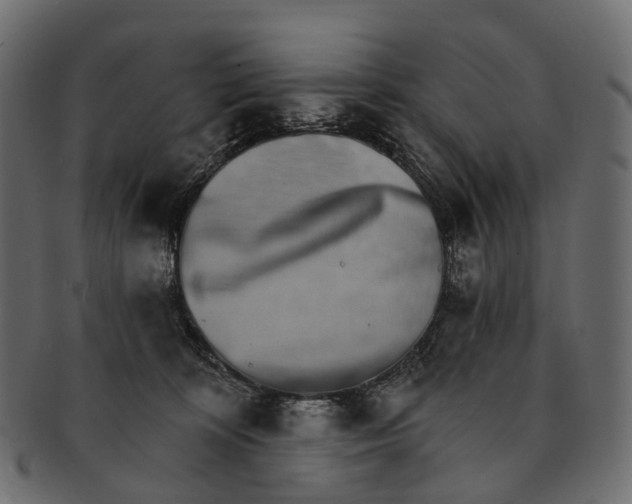 X0000091560324200709071133