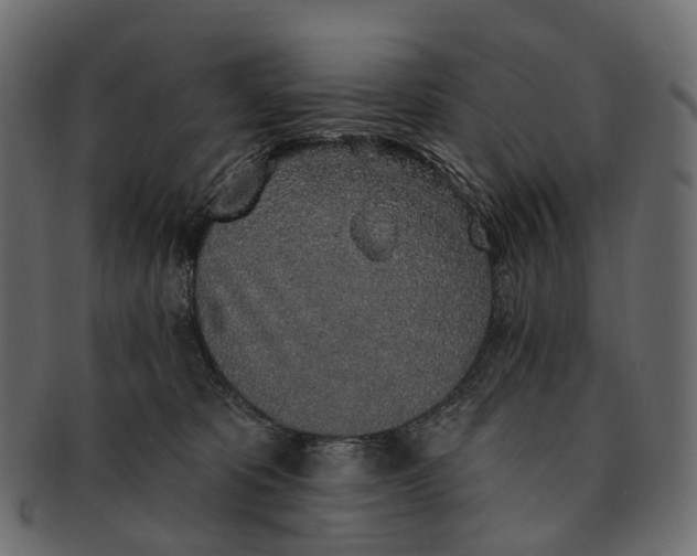 X0000091560325200709071133