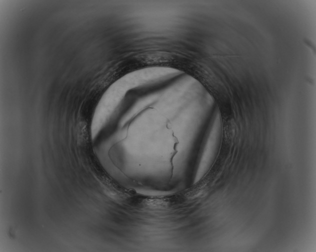 X0000091560327200709071133