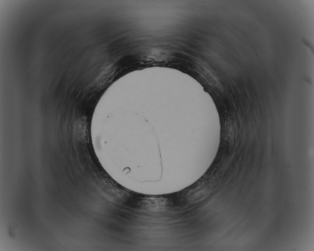 X0000091560328200709071133