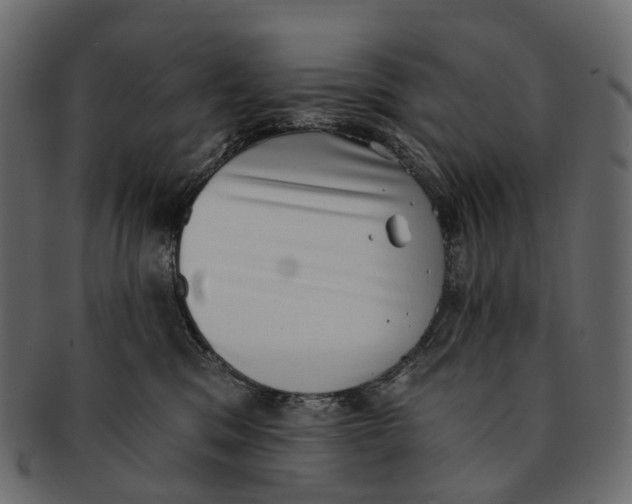 X0000091560329200709071133