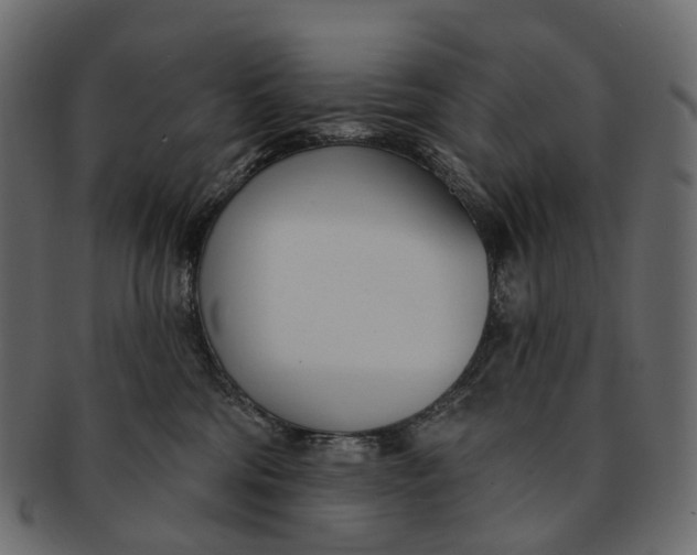 X0000091560330200709071133