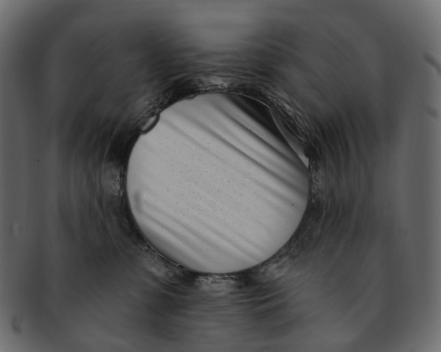 X0000091560331200709071133