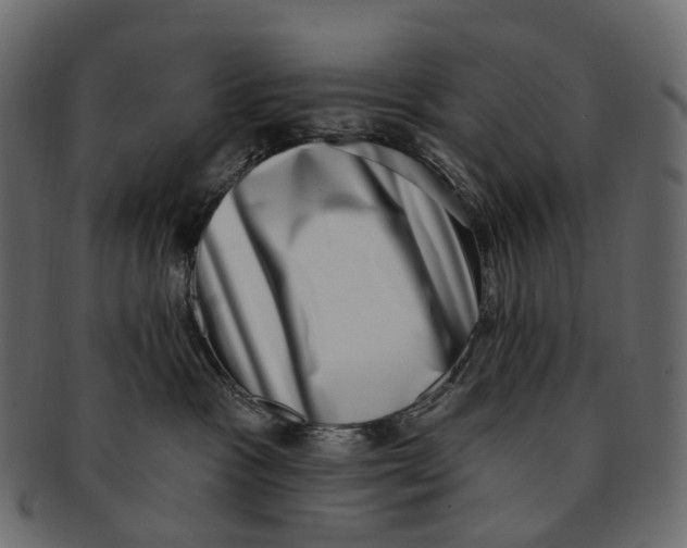 X0000091560333200709071133