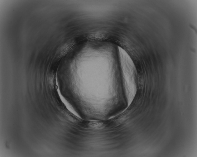 X0000091560334200709071133