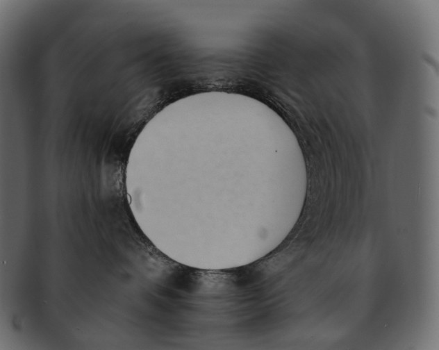 X0000091560336200709071133