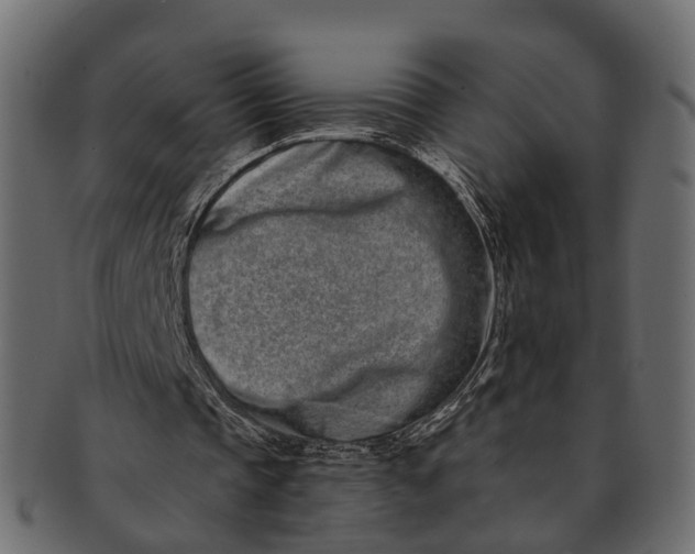 X0000091560337200709071132