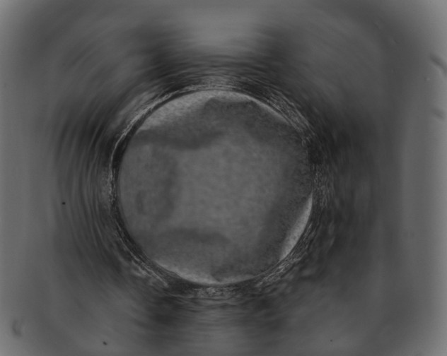 X0000091560338200709071132