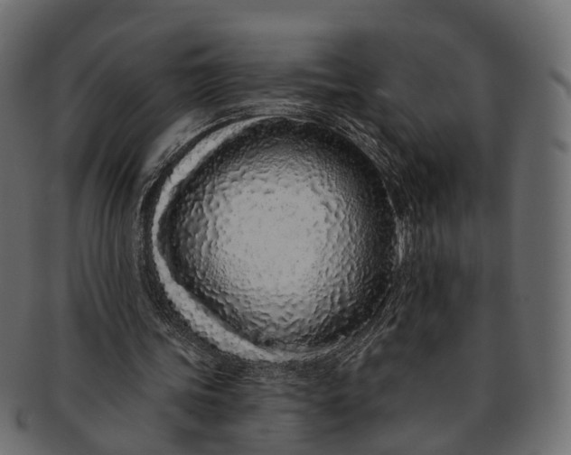 X0000091560339200709071132